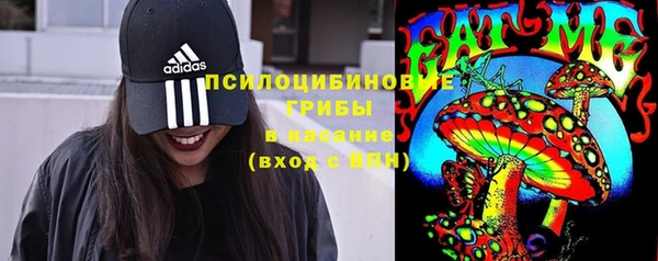 гашик Алзамай