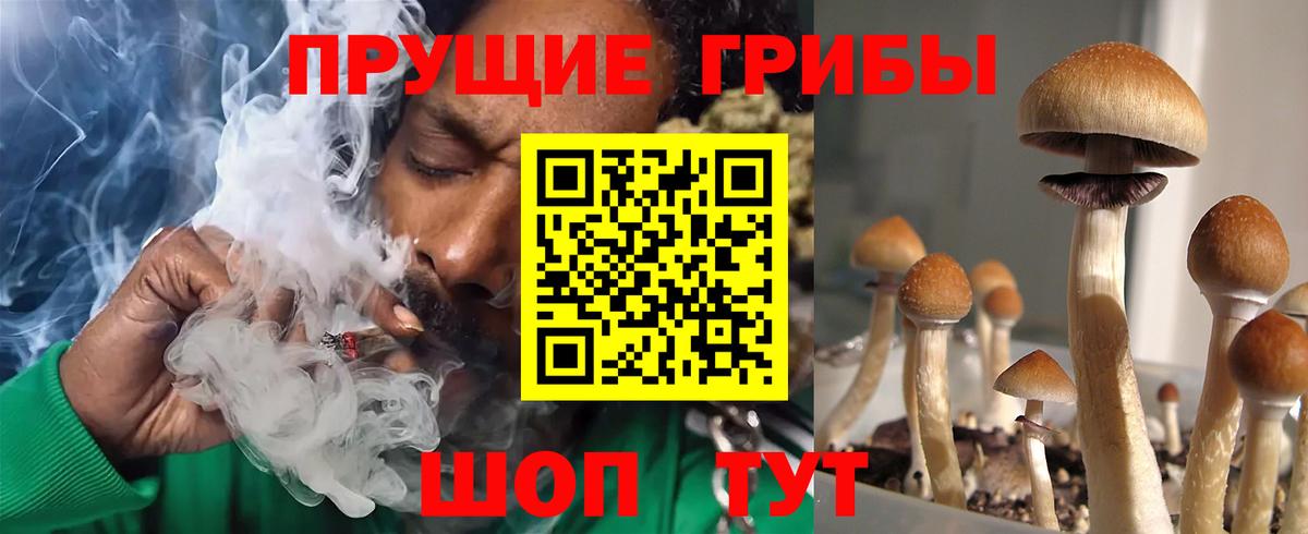 Владивосток  продажа наркотиков  Вход с VPN  Псилоцибиновые грибы Psilocybe 